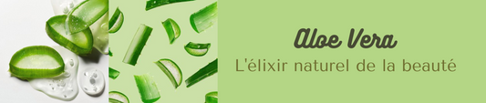 L'Aloe Vera : L'Élixir Naturel de la Beauté pour une Peau Éclatante ✨🌱 - Mes Petits Moments