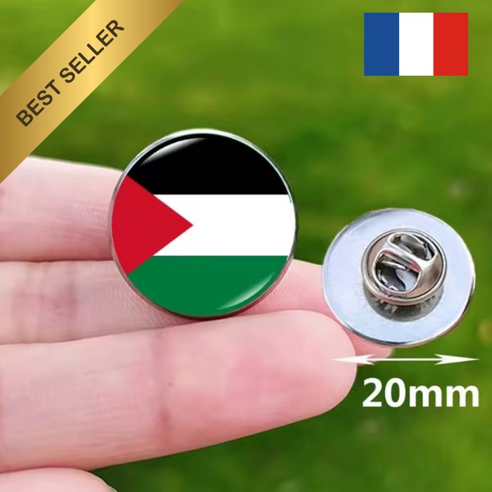 Pins pin badge pin's drapeau palestine palestinien rond cocarde papillon broche