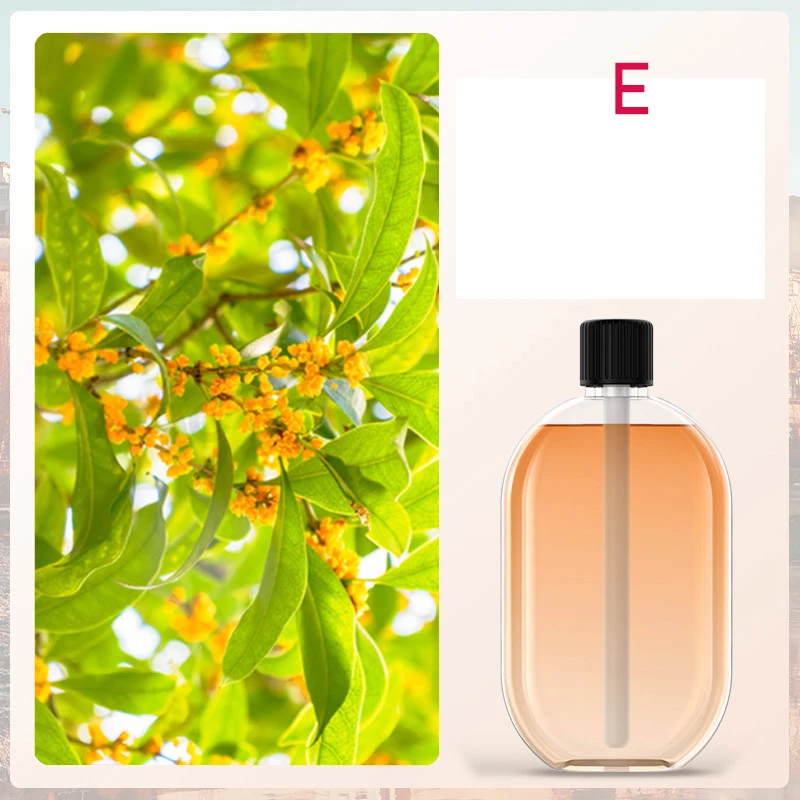 Automatic Fragrance Diffuser, USB Powered Essential Oil Diffuser with Spraying