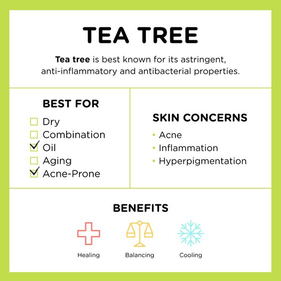 Patch Nez Thé Vert Anti Point-noir Purederm x6 - Mes Petits Moments