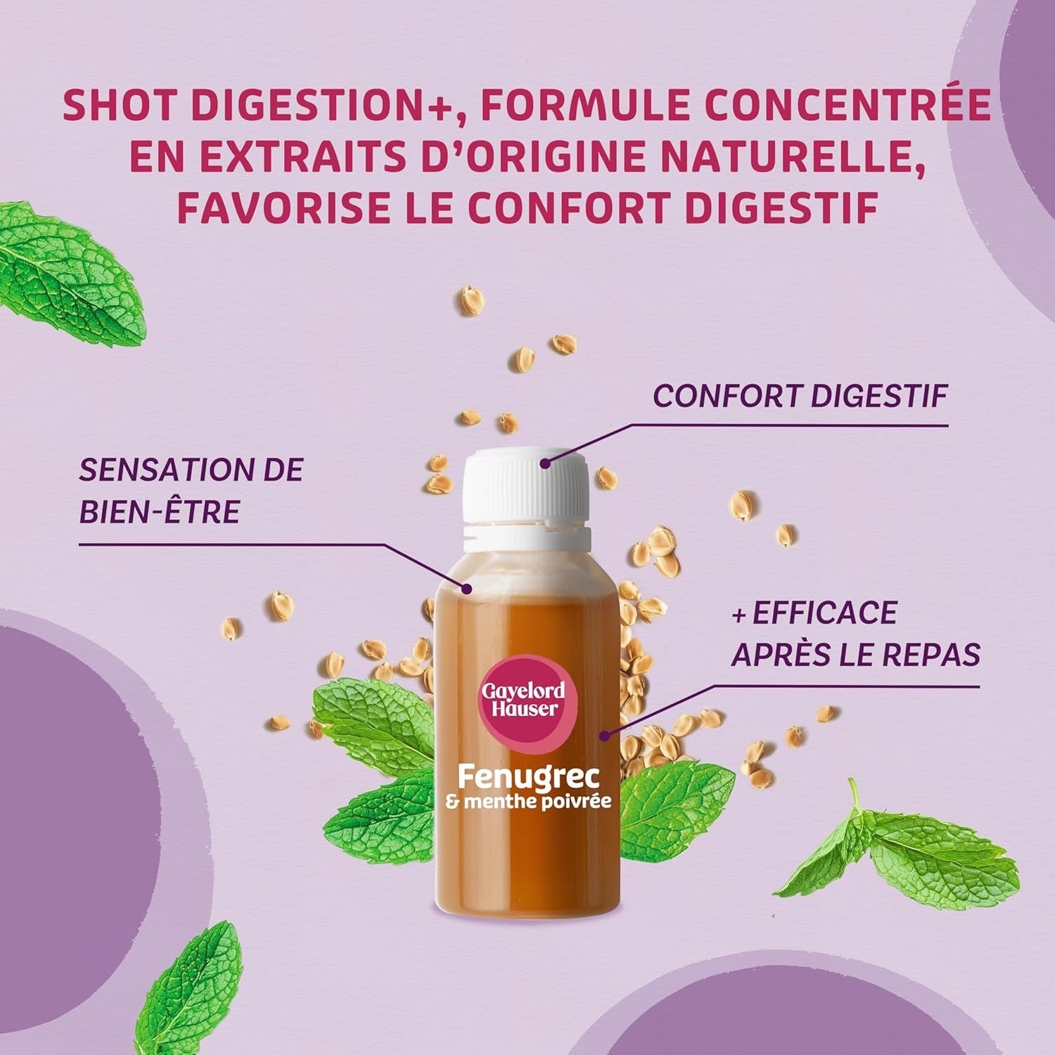 GAYELORD HAUSER Fenugrec Shot digestion Menthe poivrée Favorise la digestion FR
