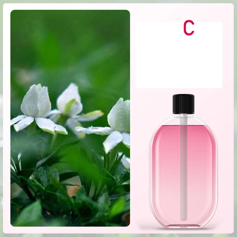 Automatic Fragrance Diffuser, USB Powered Essential Oil Diffuser with Spraying