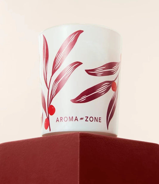 Bougie Pain d'épices 120g - 100% naturelle Aroma-Zone | Air Label A+ cadeau noël