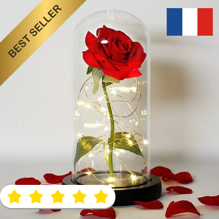 Rose Éternelle LED Durable Résistant sous Dôme Cadeau Saint Valentin Noël Mères