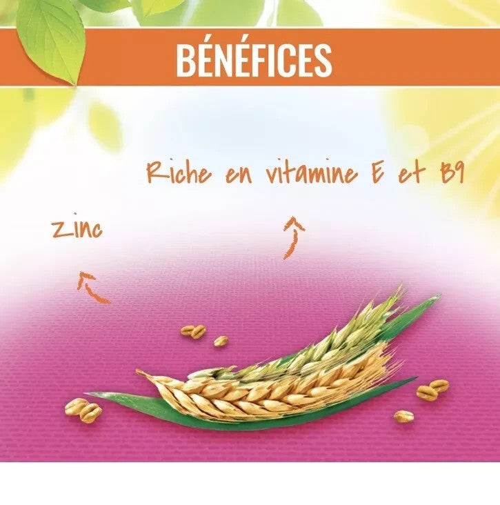 Gayelord Hauser Levure de Bière/Sélénium - lot de 6