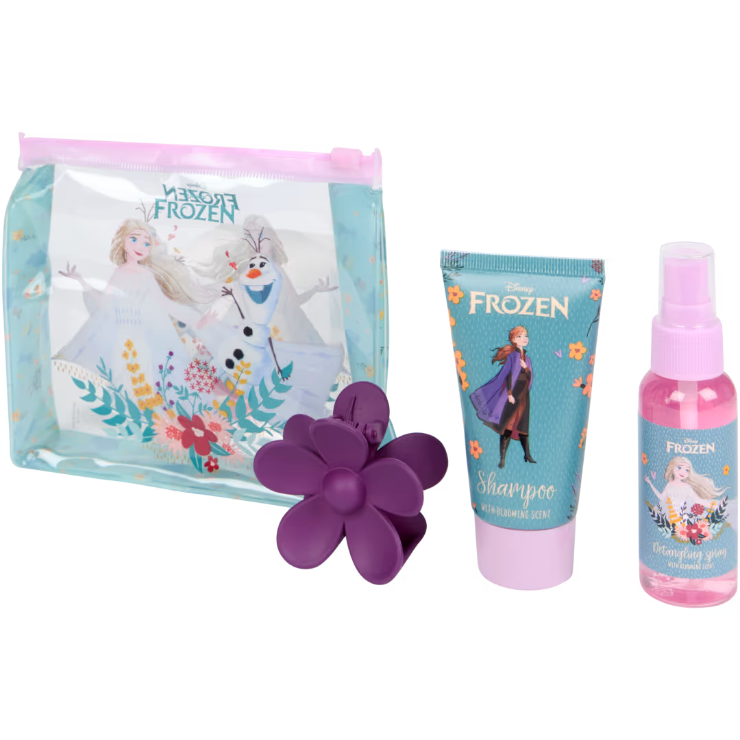 Pochette Cheveux La Reine des Neiges Shampoing +Spray Démêlant +Pince