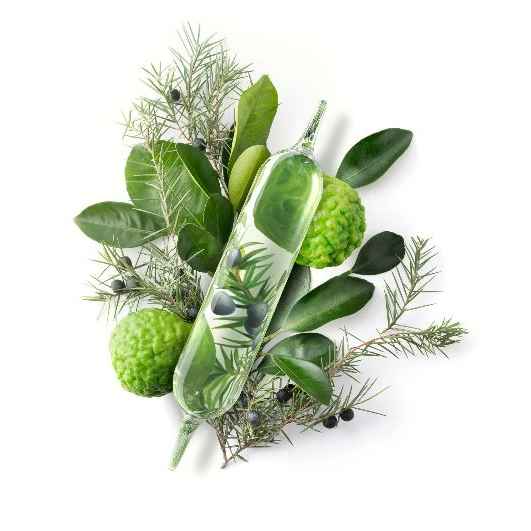 Evoleum Oxygénation – Cure Beauté & Éclat – 21 Ampoules à boite - complément ali