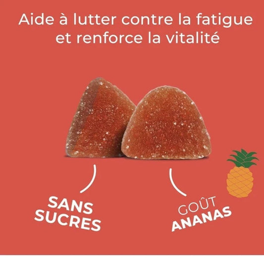 Complément alimentaire gommes ZOHI énergie (60)