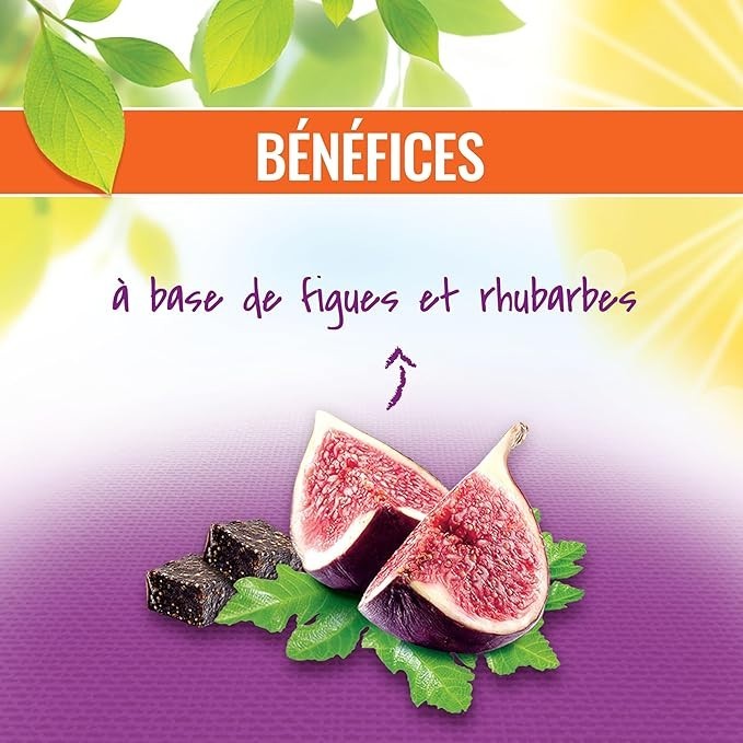 GAYELORD HAUSER - Carrés Transit Figues et Fibres - Spécial Transit - x12