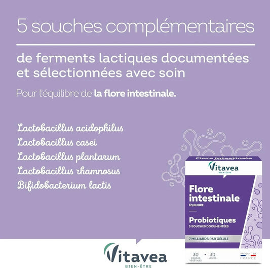 Vitavea - Suprabiotique® Probiotique Flore Intestinale Equilibre du Microbiote