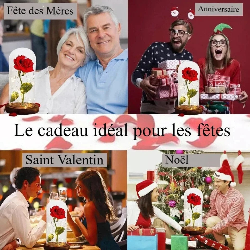 Rose Éternelle LED Durable Résistant sous Dôme Cadeau Saint Valentin Noël Mères