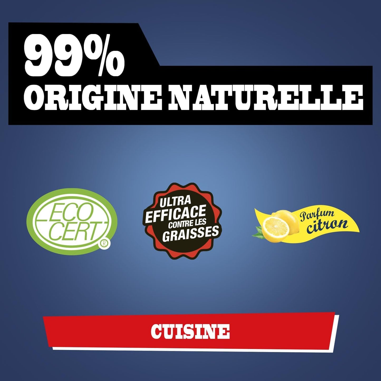 BRIOCHIN Super décapant cuisine ultra efficace 1L