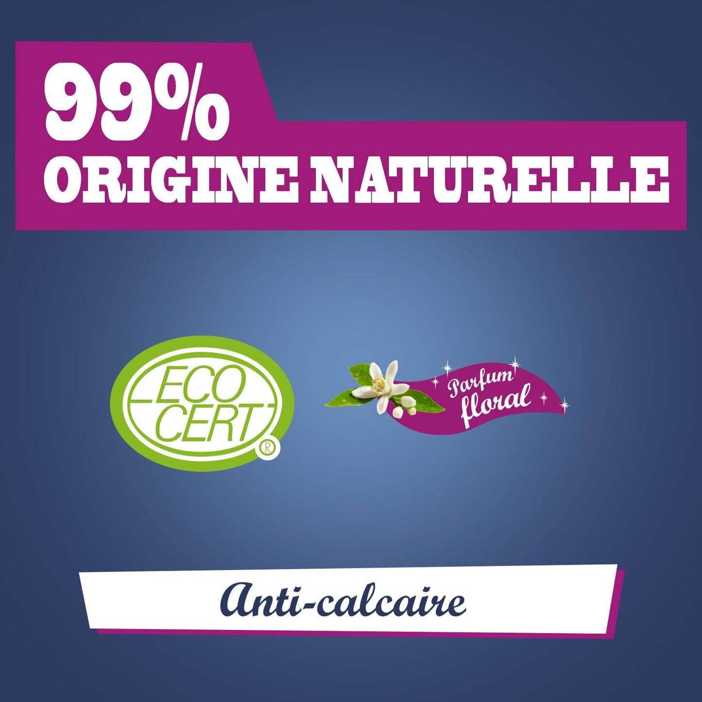BRIOCHIN Nettoyant salle de bain 3 en 1 parfum floral 1L