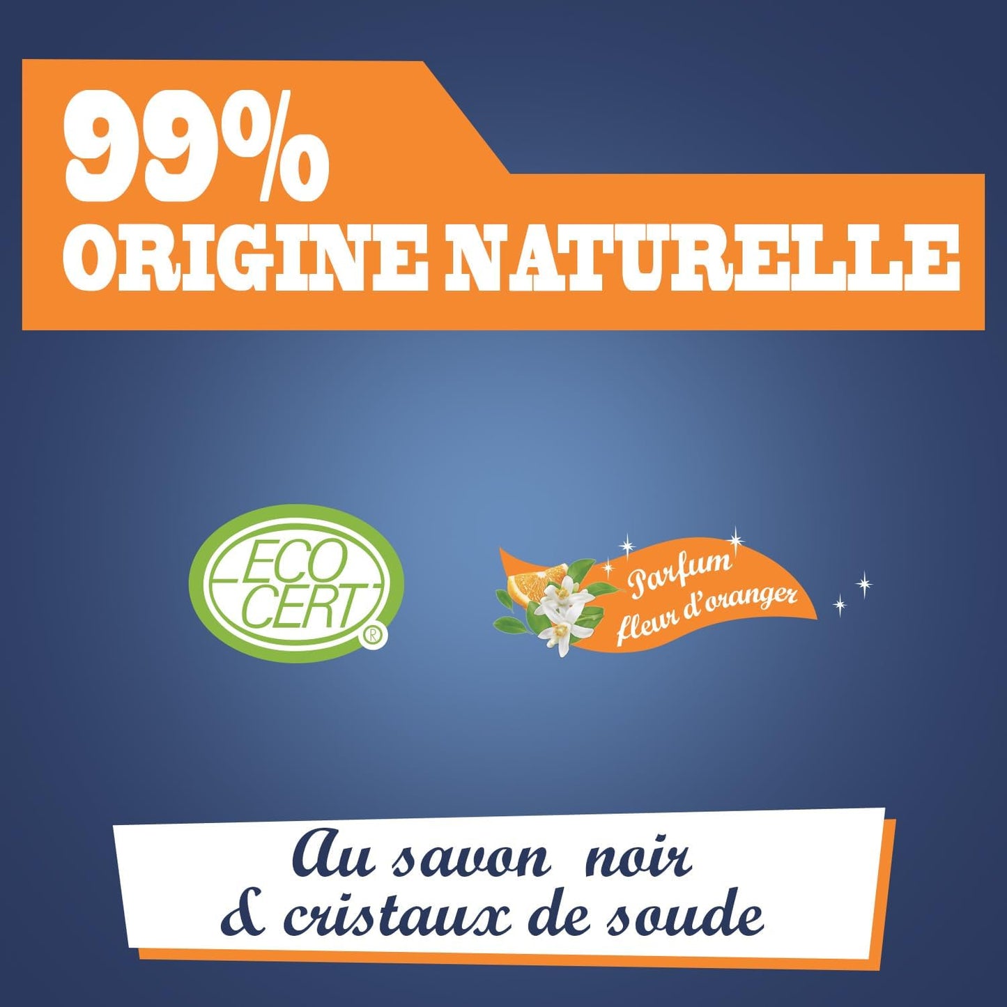 JACQUES BRIOCHIN - Mousse Dégraissante Cuisine -Savon Noir et Cristaux de Soude - Dégraisse - 99% d'Ingrédients d'Origine Naturelle - - Fabriqué En France - 750mL