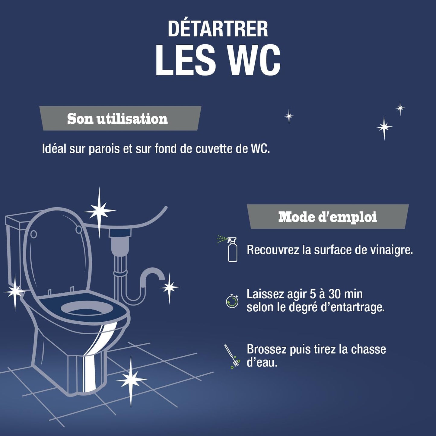 JACQUES BRIOCHIN - Détartrant gel WC - Nettoie en Profondeur et Détartre - 100% d'Ingrédients d'Origine Naturelle - Parfum Menthe - - Fabriqué En France - 750mL