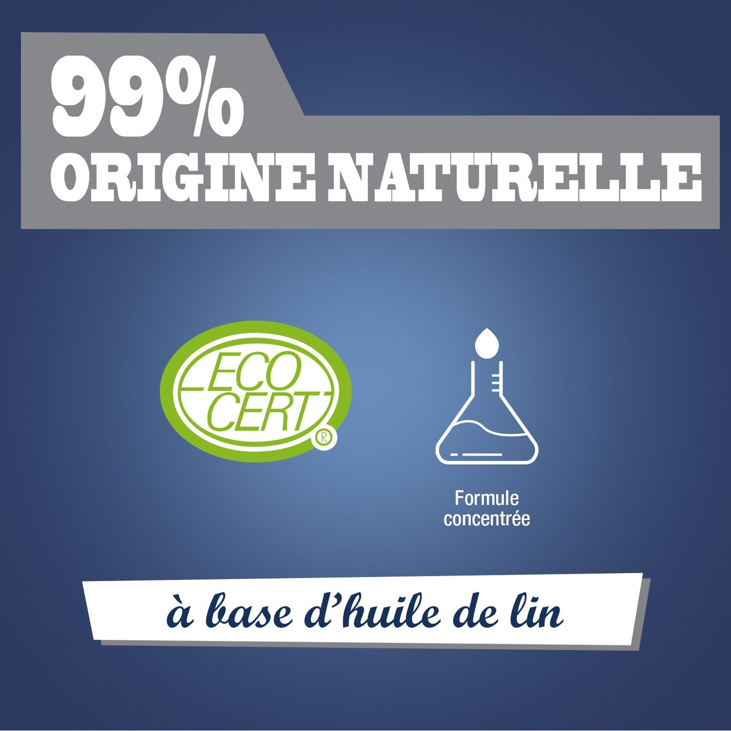 JACQUES BRIOCHIN - Savon noir prêt à l'emploi - A l'huile de lin - Nettoie, détache et fait briller - Ecocert - Fabrication Française - Flacon recyclable - Pulvérisateur 750ml