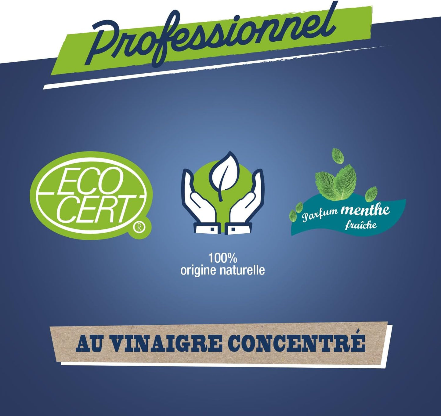 JACQUES BRIOCHIN - Détartrant gel WC - Nettoie en Profondeur et Détartre - 100% d'Ingrédients d'Origine Naturelle - Parfum Menthe - - Fabriqué En France - 750mL