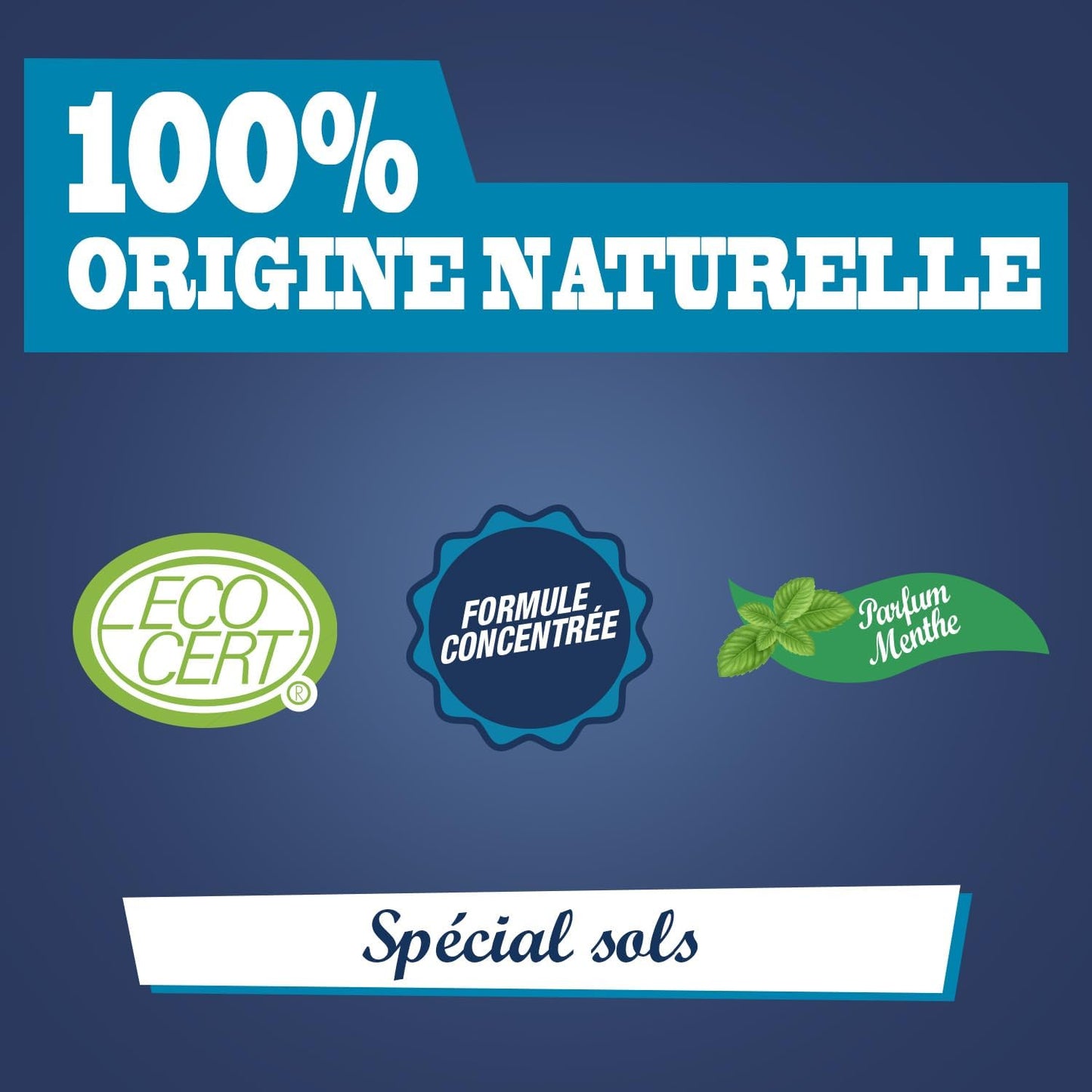 JACQUES BRIOCHIN - Nettoyant Purifiant Spécial Sols - Formule Concentrée - Parfum Menthe - Ecocert - 100% d'Origine Naturelle - Fabrication Française - 1L