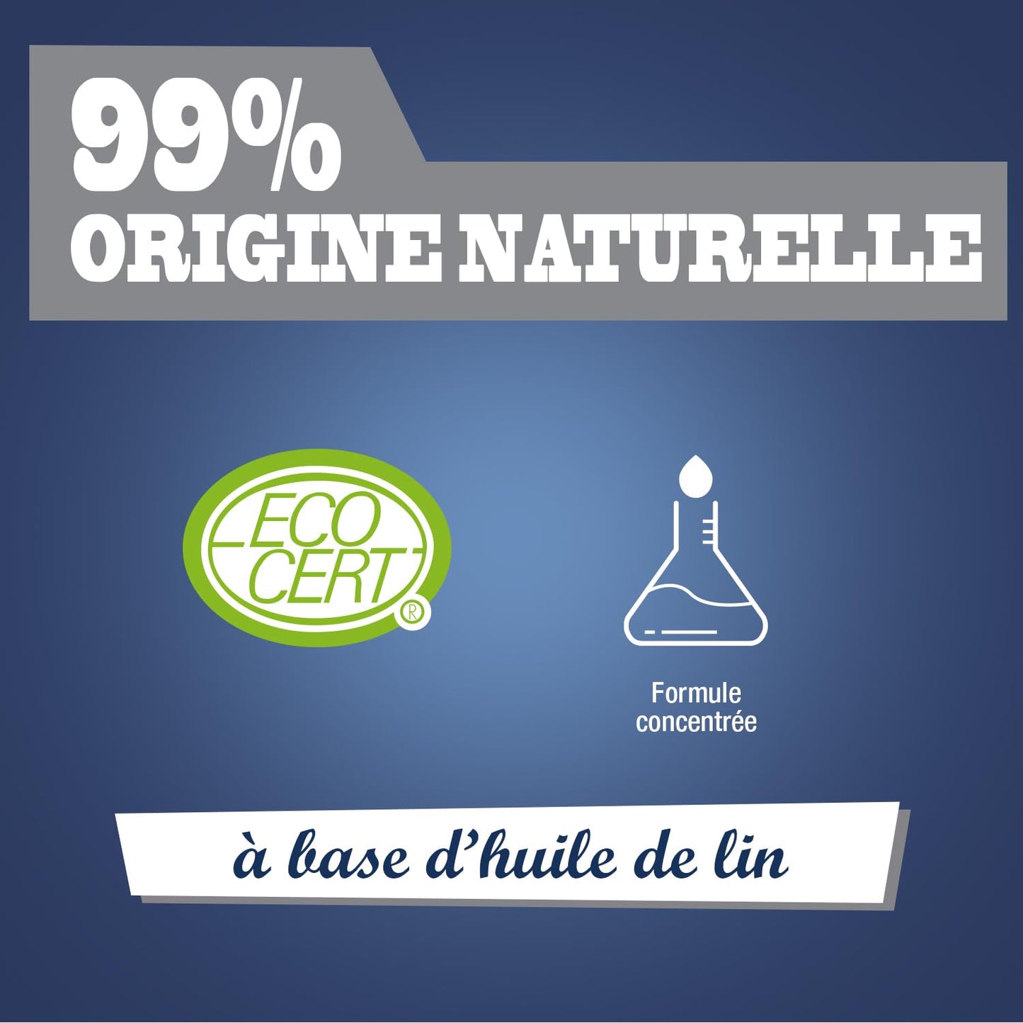 JACQUES BRIOCHIN - Savon noir prêt à l'emploi - A l'huile de lin - Nettoie, détache et fait briller - Ecocert - Fabrication Française - Flacon recyclable - Pulvérisateur 750ml