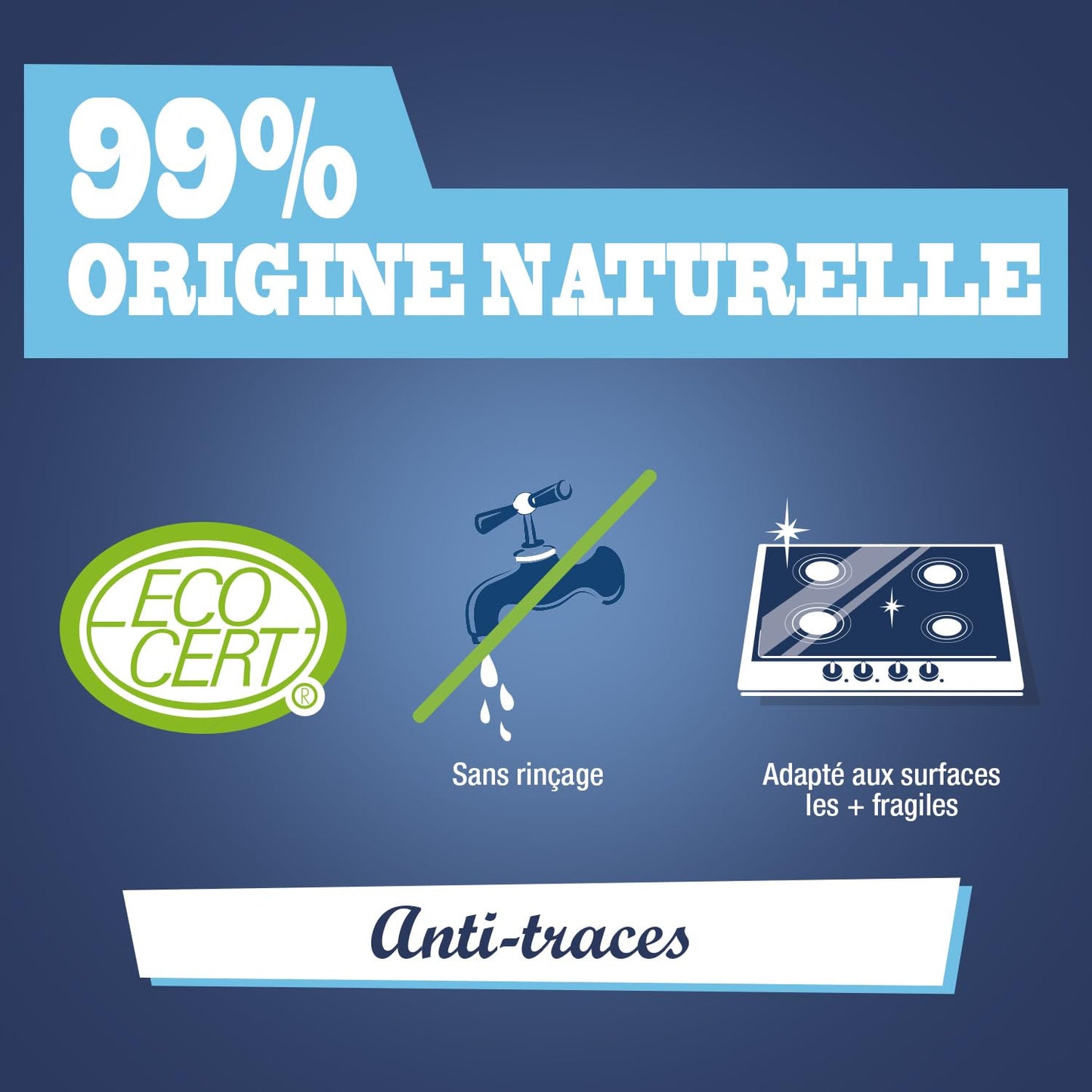 BRIOCHIN Nettoyant salle de bain 3 en 1 parfum floral 1L