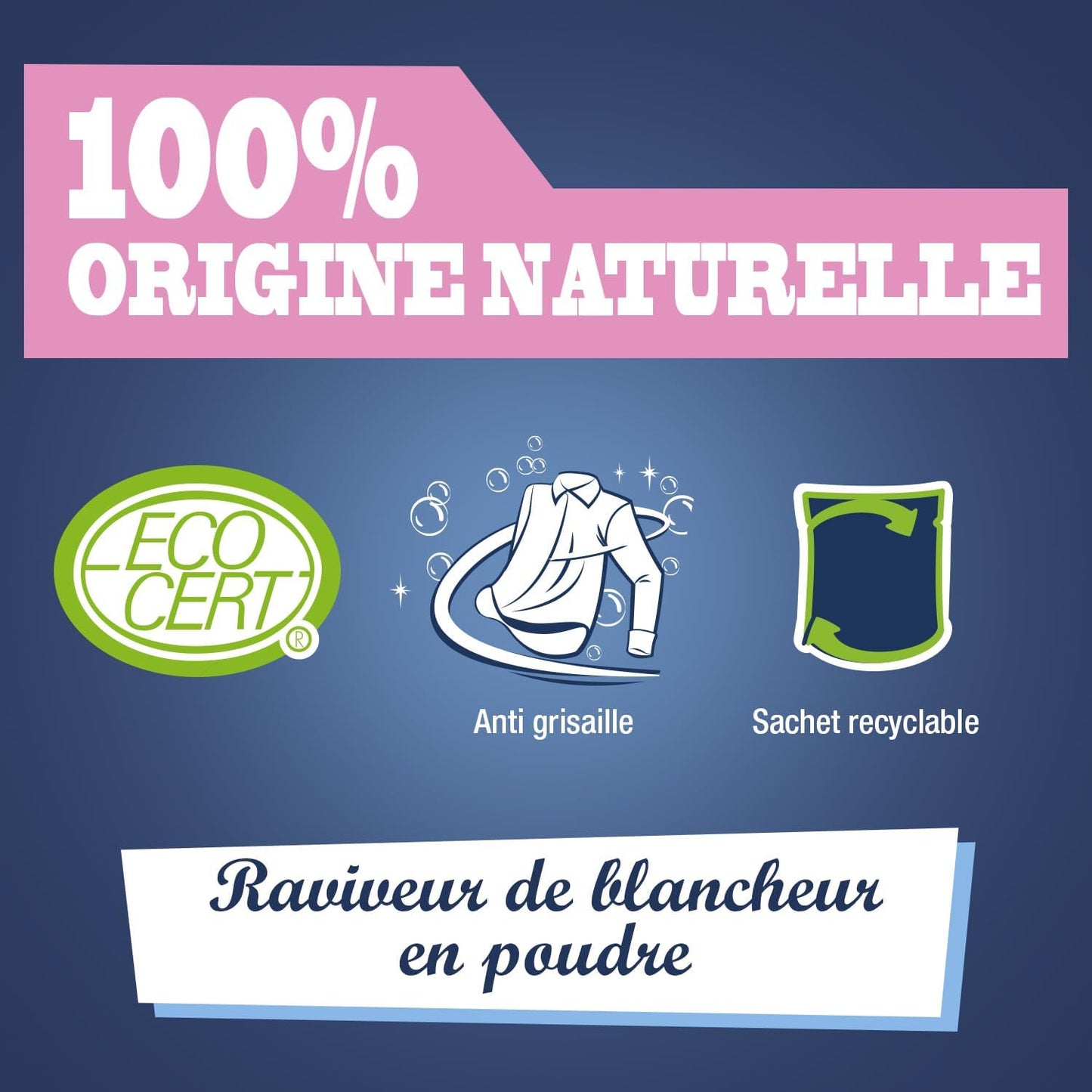 BRIOCHIN Poudre au percarbonate de soude 500g