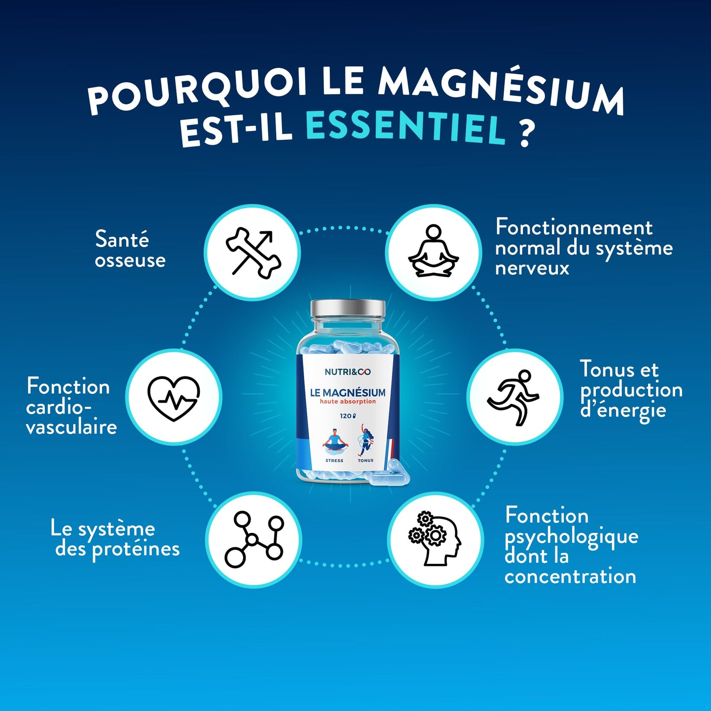 NUTRI&CO Magnésium Bisglycinate Malate & Liposome vitamine B6 | 120 Gélules