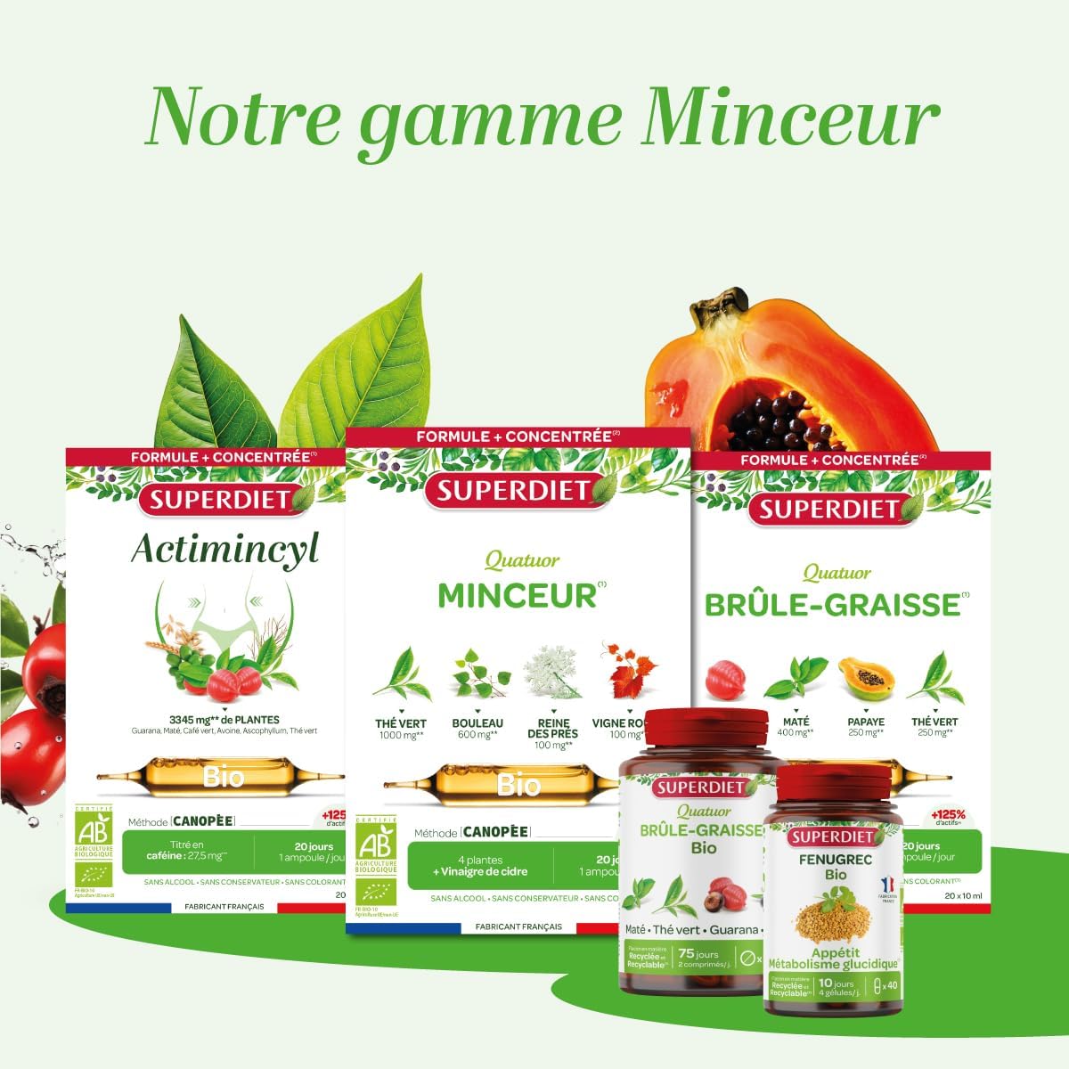SUPERDIET-QUATUOR BRÛLE-GRAISSE BIO-Minceur-Thé vert, Papaye, Son d'avoine, Guarana-Fabrication française-FORMAT PROMO-30 ampoules de 10ml