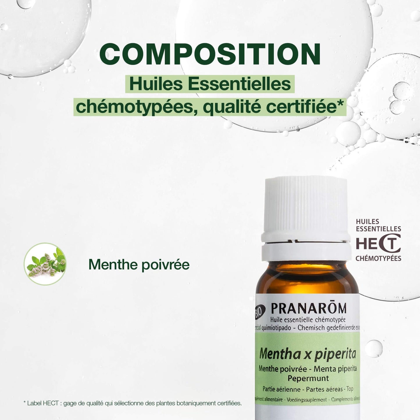 Pranarôm Huile Essentielle Tea Tree HECT 10 ml