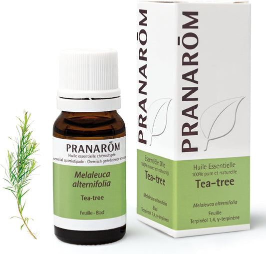 Pranarôm Huile Essentielle Tea Tree HECT 10 ml