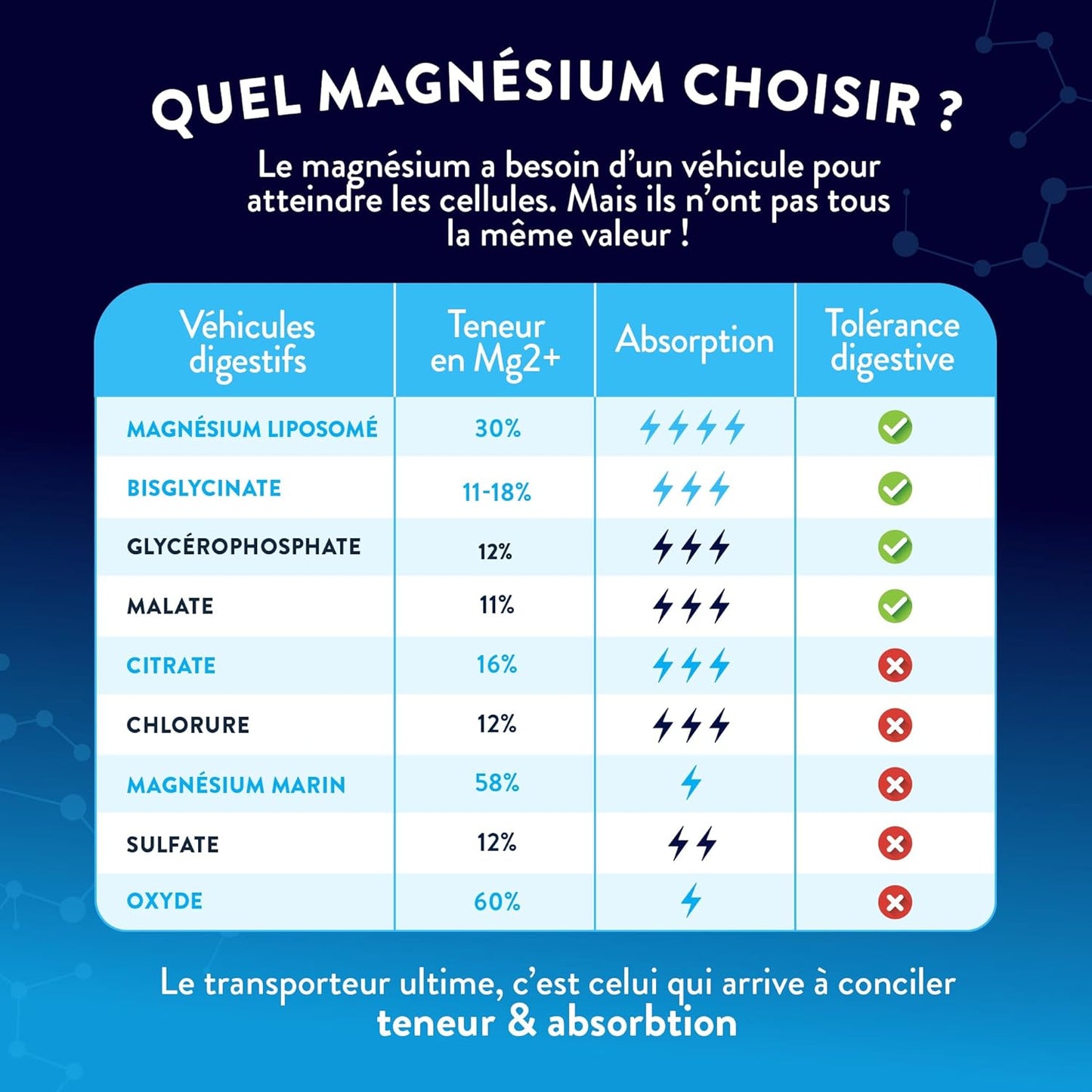 NUTRI&CO Magnésium Bisglycinate Malate & Liposome vitamine B6 | 120 Gélules