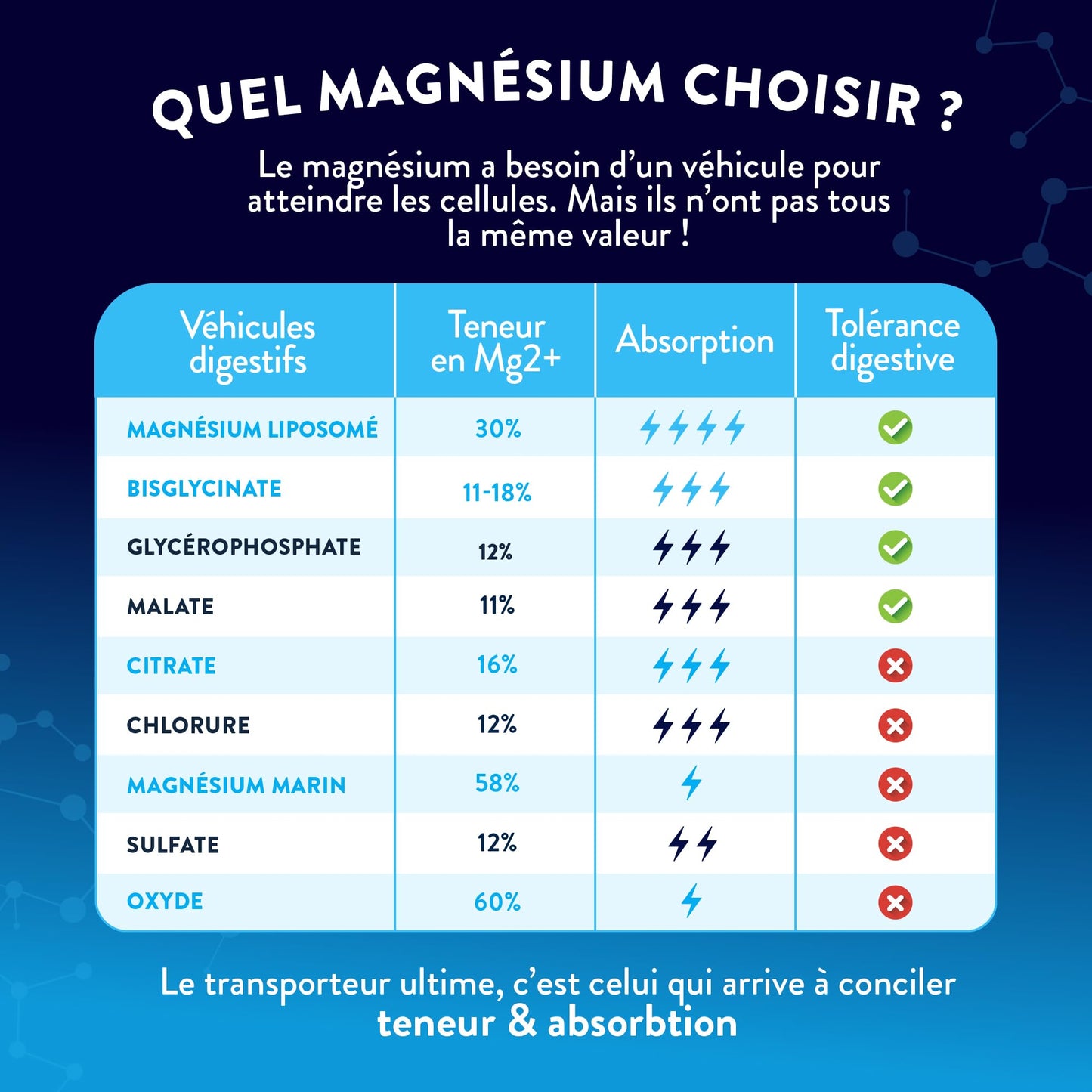 NUTRI&CO Magnésium Bisglycinate Malate & Liposome vitamine B6 | 120 Gélules