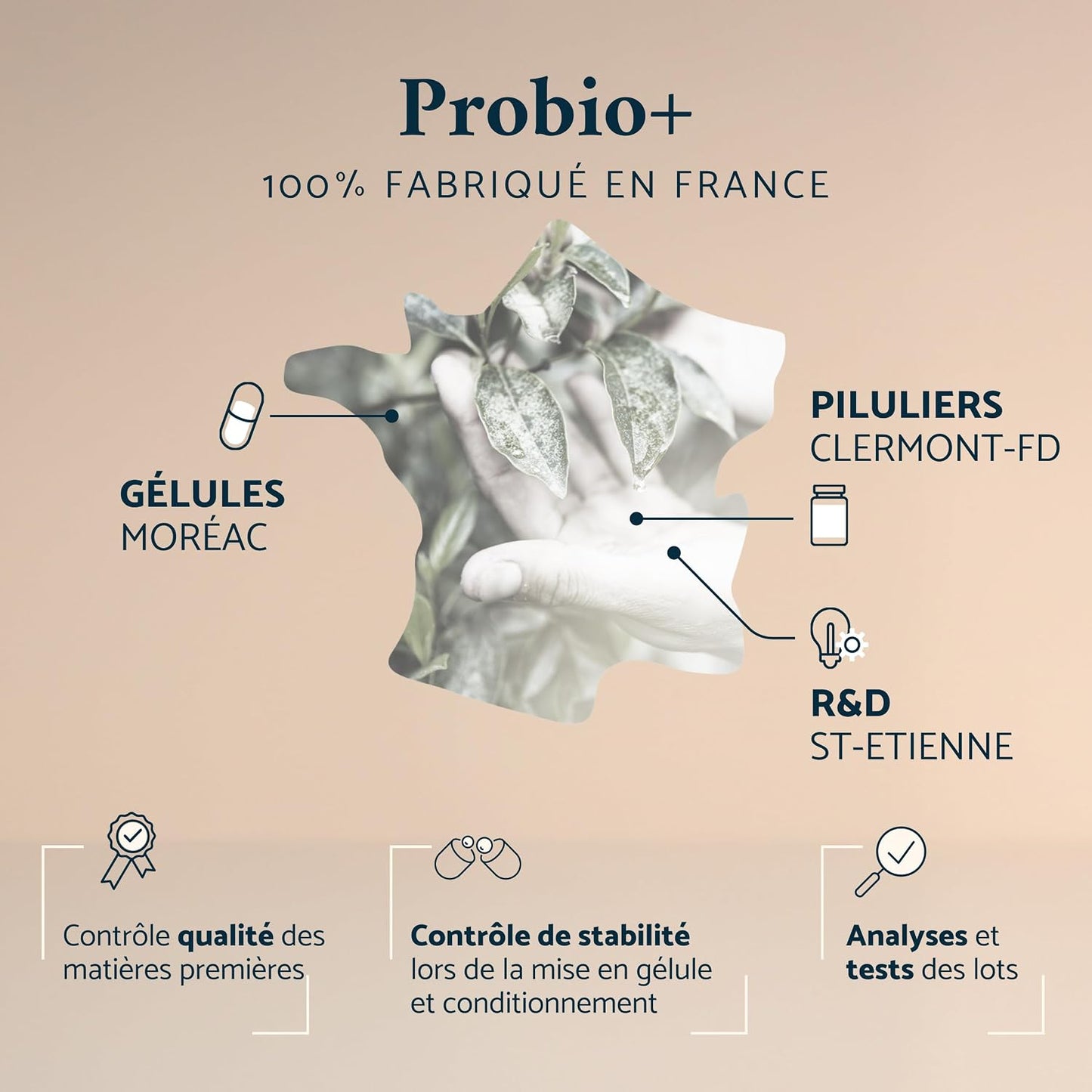 Apyforme Probio+ Probiotique Flore Intestinale 60 Milliards UFC/Jour