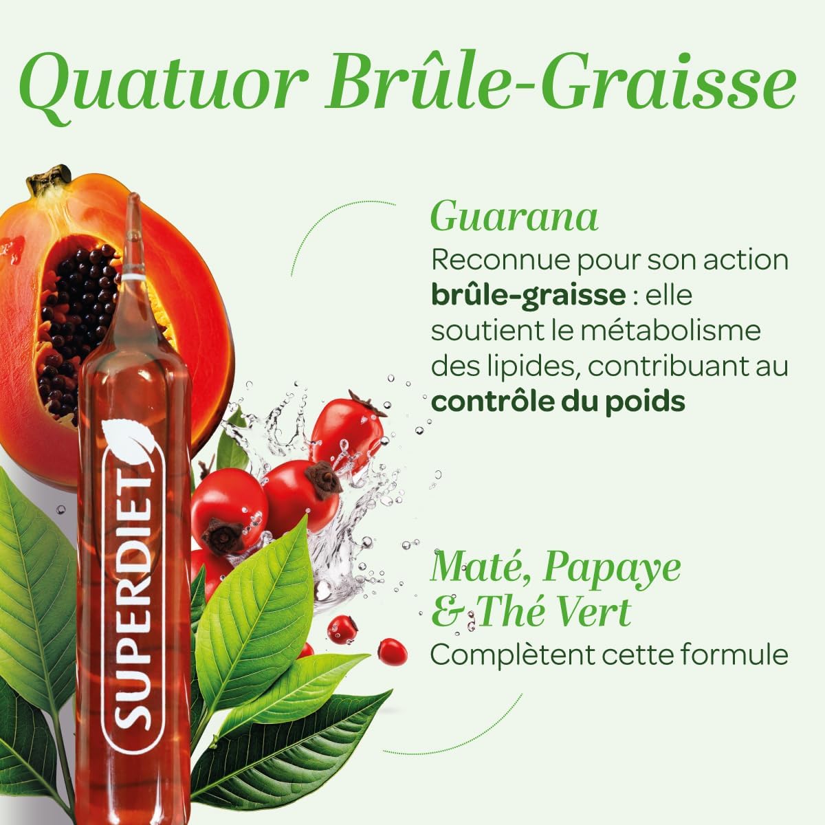 SUPERDIET-QUATUOR BRÛLE-GRAISSE BIO-Minceur-Thé vert, Papaye, Son d'avoine, Guarana-Fabrication française-FORMAT PROMO-30 ampoules de 10ml