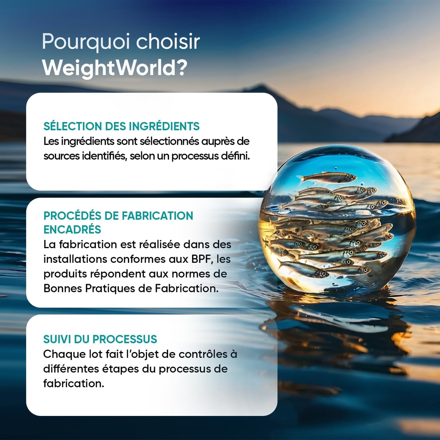 Oméga 3 Huile de Poisson Gélules 2000mg, 240 Gélules Fish Oil Omega 3