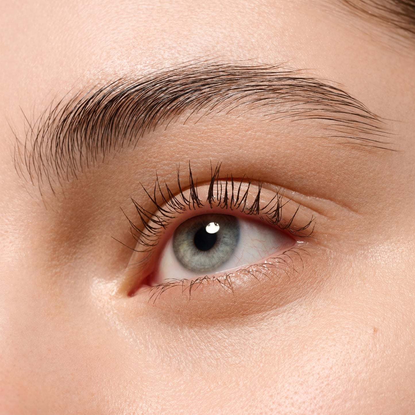essence lash WITHOUT LIMITS EXTREME LENGTHENING & VOLUME MASCARA, longue durée, augmentant le volume, ultra noir, allongeant (13ml)