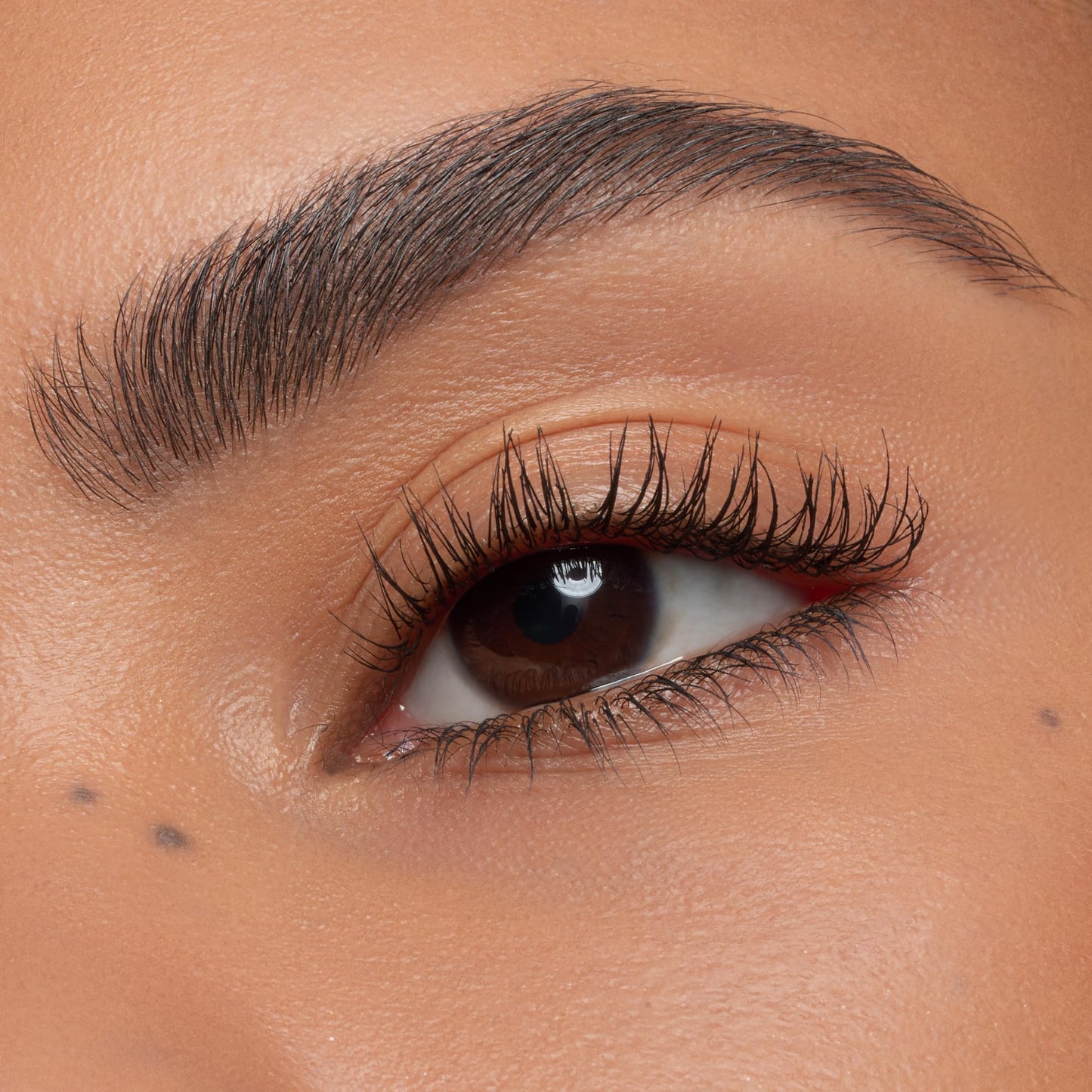 essence lash WITHOUT LIMITS EXTREME LENGTHENING & VOLUME MASCARA, longue durée, augmentant le volume, ultra noir, allongeant (13ml)