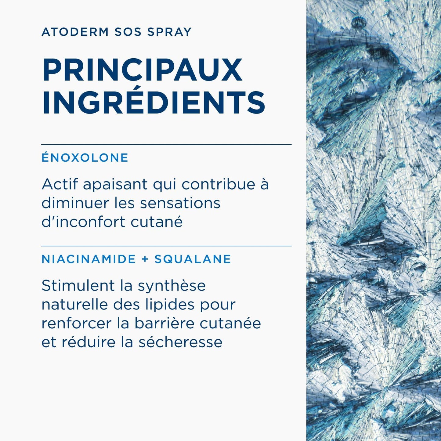BIODERMA Atoderm SOS spray - Anti-démangeaisons et apaisement immédiat - Peaux sensibles irritées sèches à très sèches - Prescrit par des dermatologues - Pour toute la famille - Aérosol 200 ml