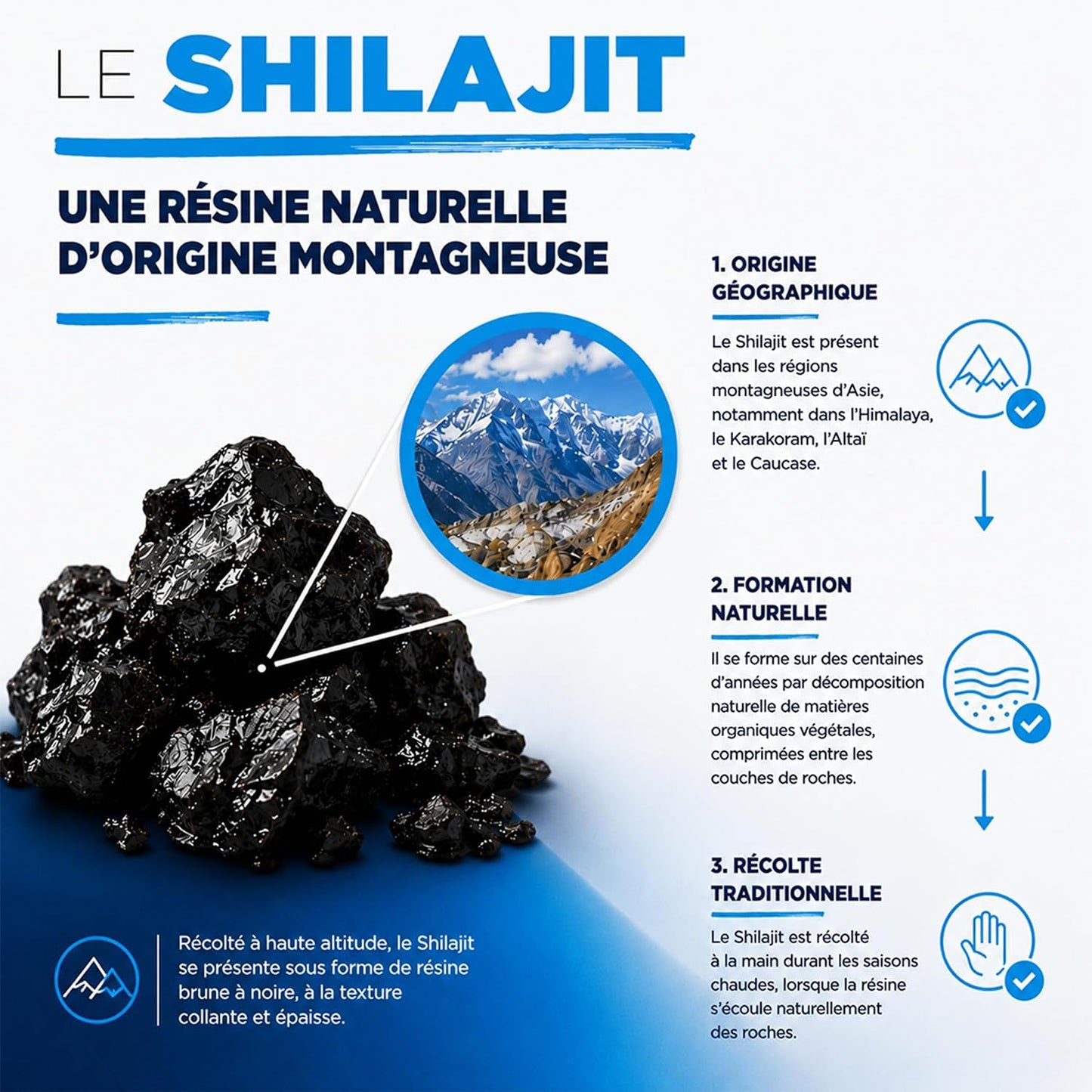 TRYVITE – Formule pour Hommes Actifs – Fabriqué en France – 60 Gélules.