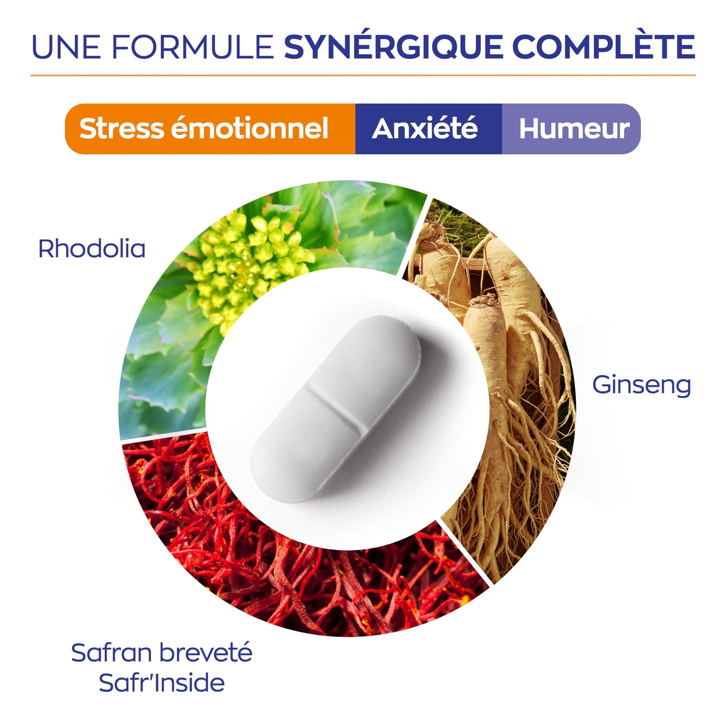 Cortisol - Ashwagandha Bio Granions - Anti Stress - KSM-66-60 Comprimes