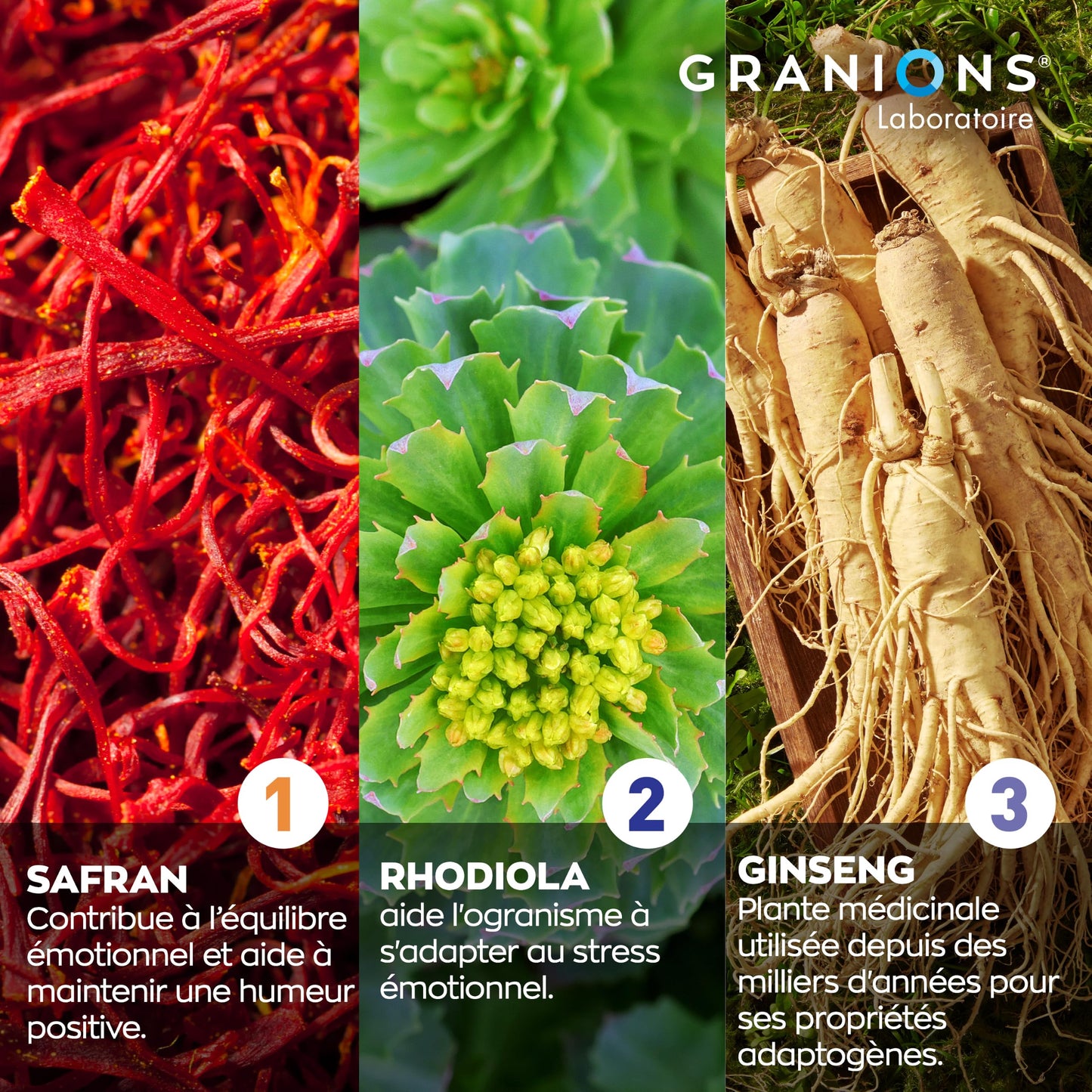 Cortisol - Ashwagandha Bio Granions - Anti Stress - KSM-66-60 Comprimes