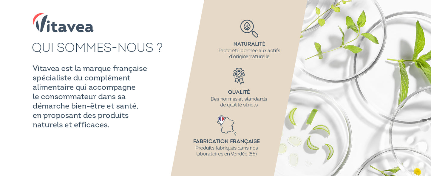 Vitavea Levure de Bière 1100 mg + Zinc & Sélénium- Cheveux & Peau - 91% Satisfaits