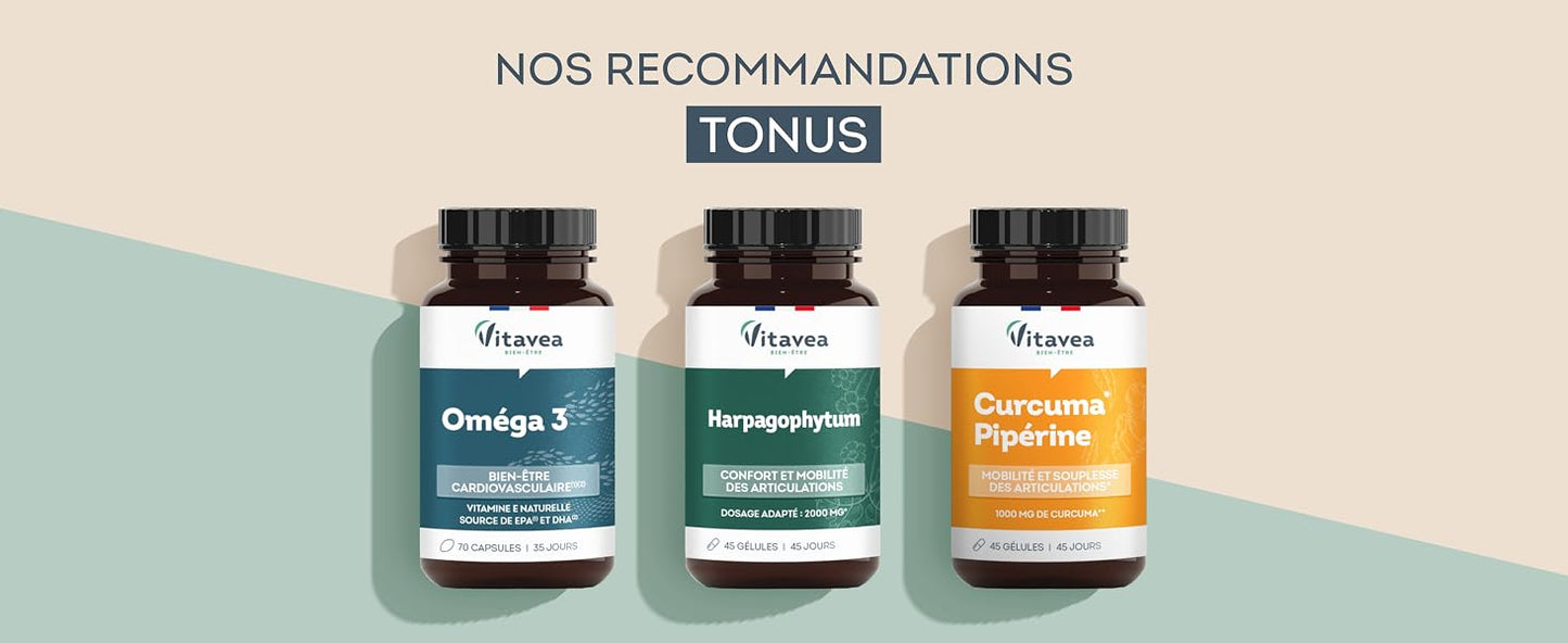 Vitavea Bien-être - Harpagophytum 2000mg - Confort Articulaire - 45 jours