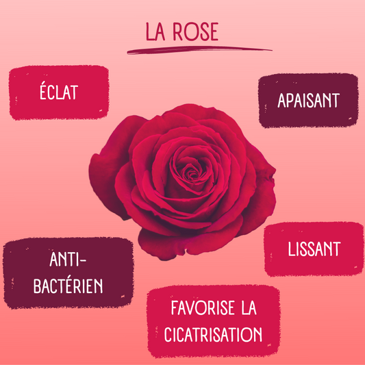 Lingette Démaquillante Coréenne à la Rose Purederm paquet de 30 - Mes Petits Moments